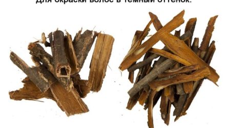 Как затемнить волосы в домашних условиях?